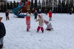 IMG_20230206_104538