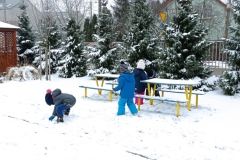 IMG_20230206_104603