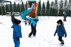IMG_20230206_104958