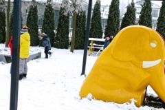 IMG_20230206_105240