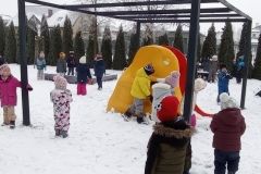 IMG_20230206_105353