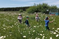 IMG_20230531_124926