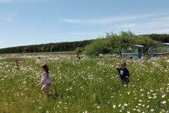 IMG_20230531_125010