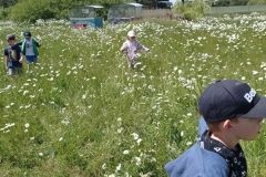 IMG_20230531_125046