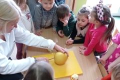 IMG_20230303_102231