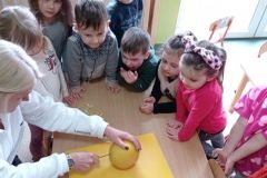 IMG_20230303_102235