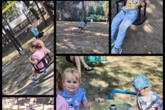 Collage_20250913_131642859